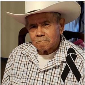 Meet your Posher, Dahl